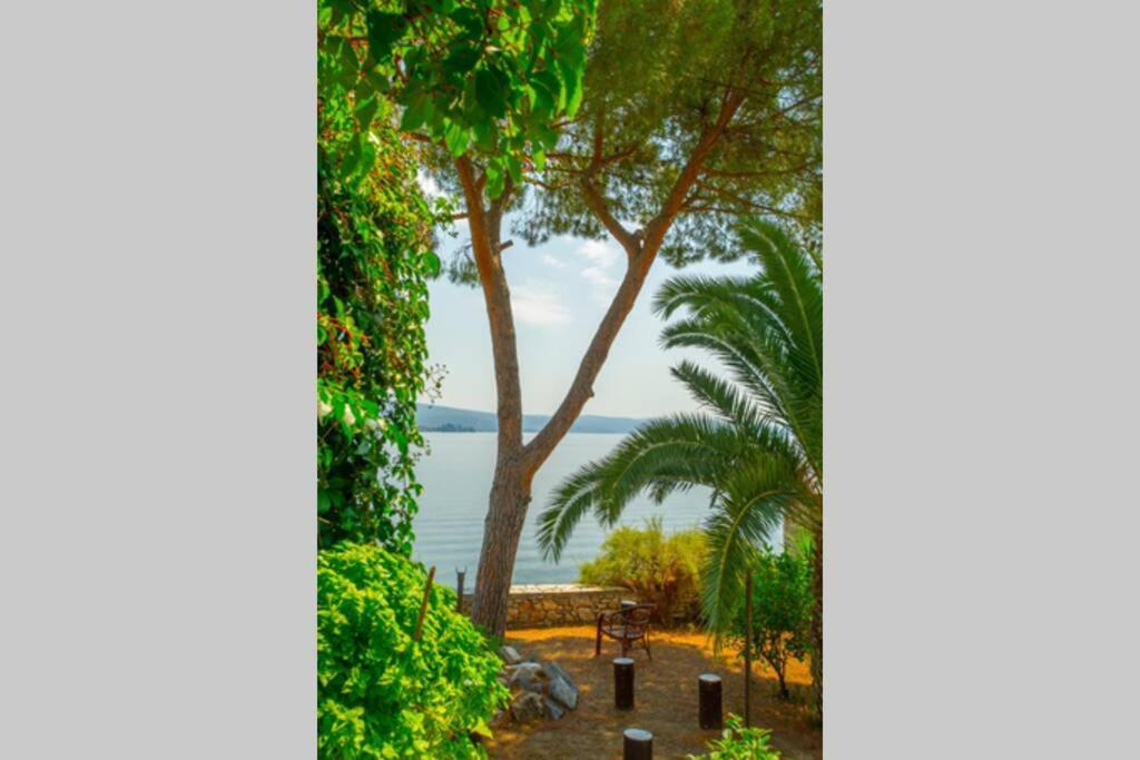 Natali'S Villa By The Sea Като-Гацеа Экстерьер фото