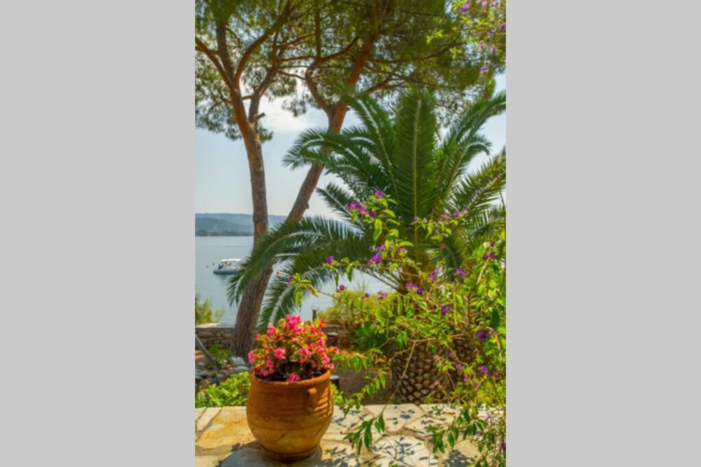 Natali'S Villa By The Sea Като-Гацеа Экстерьер фото